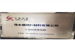 國家專精特新小巨人企業(yè)